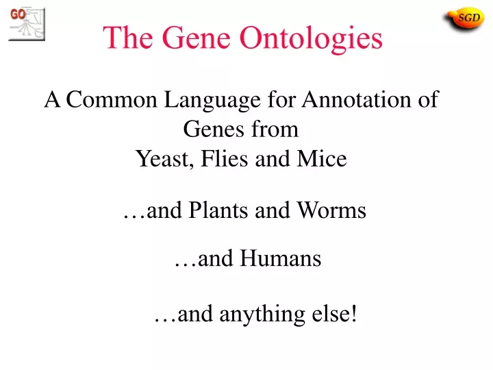 the gene ontologies