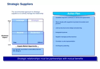 Strategic Suppliers