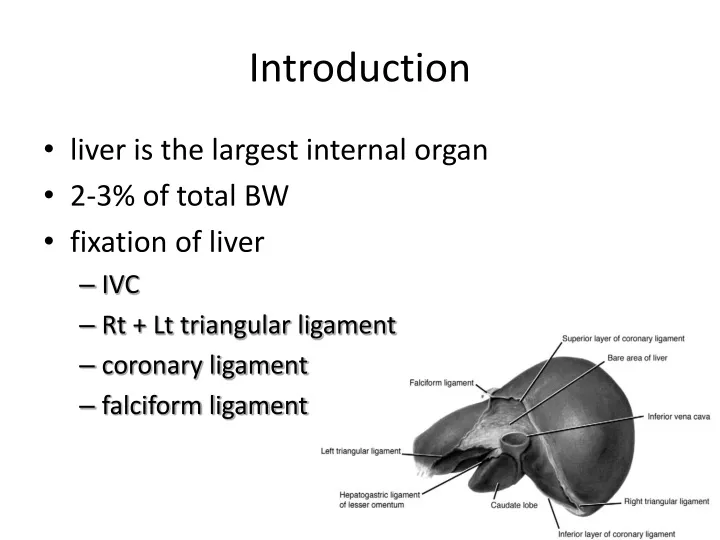 introduction