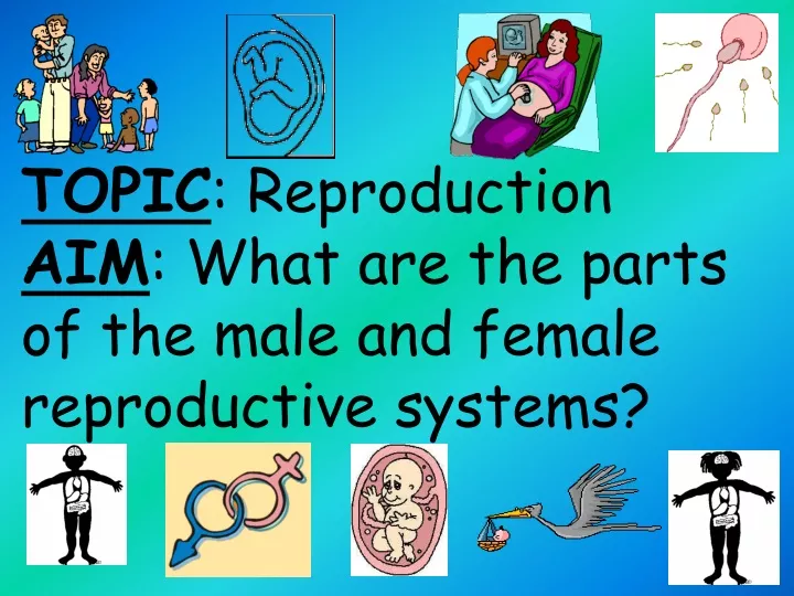 topic reproduction aim what are the parts of the male and female reproductive systems