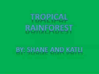 TROPICAL Rainforest