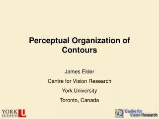 Perceptual Organization of Contours