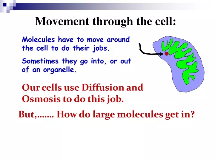 movement through the cell