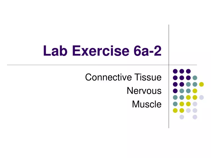 lab exercise 6a 2