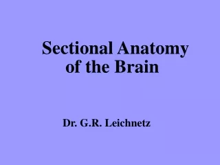 Sectional Anatomy    	   of the Brain Dr. G.R. Leichnetz