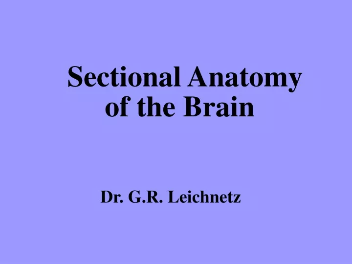 sectional anatomy of the brain dr g r leichnetz