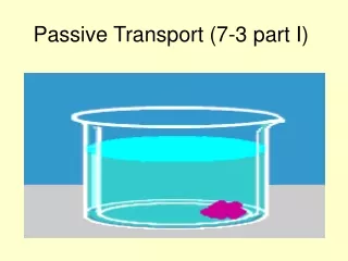 Passive Transport (7-3 part I)