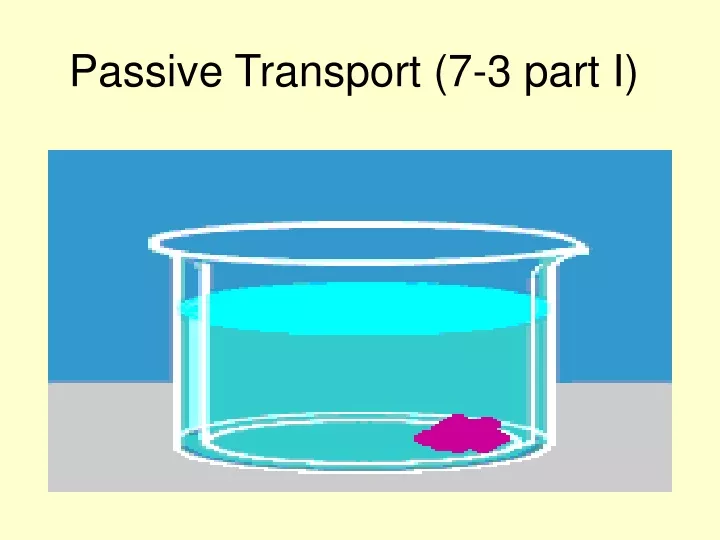 passive transport 7 3 part i