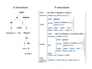 What is the  functional domain  of this node?