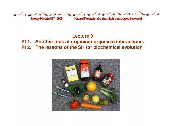 lecture 9 pt 1 another look at organism organism