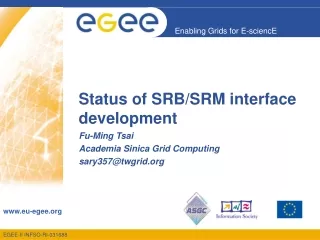 Status of SRB/SRM interface development