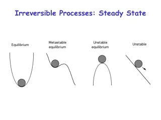 Irreversible Processes: Steady State