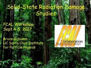 Solid-State Radiation Damage Studies FCAL Workshop Sept 4-5, 2017 Bruce Schumm