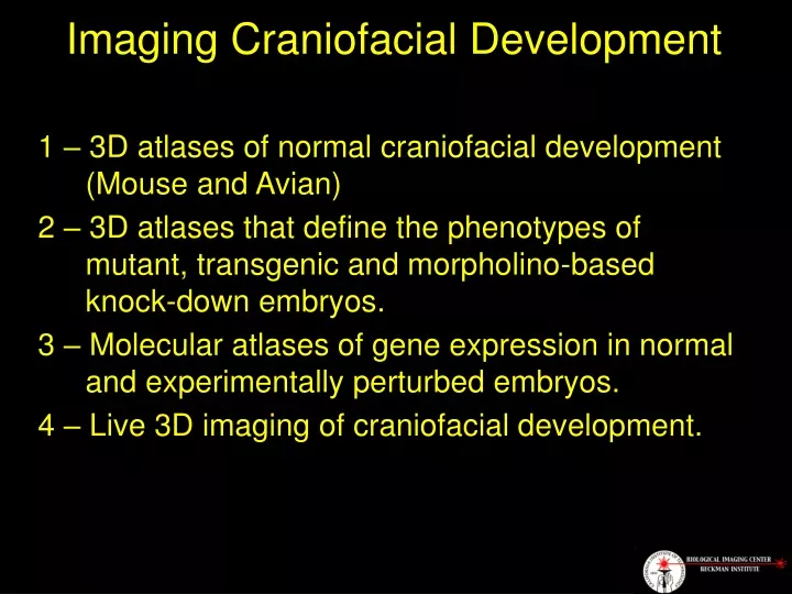 imaging craniofacial development