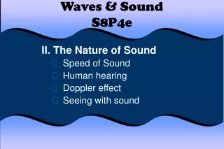 Waves &amp; Sound S8P4e