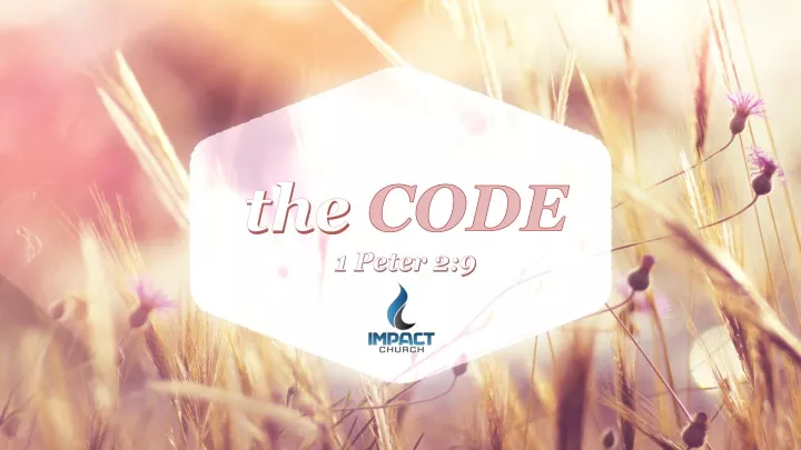 the code 1 peter 2 9