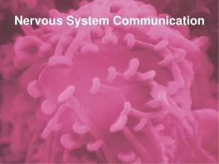 Nervous System Communication