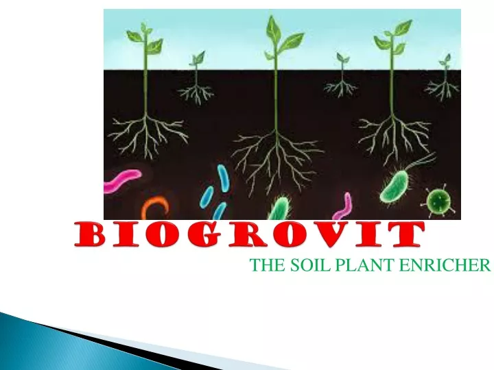 the soil plant enricher