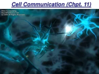 Cell Communication (Chpt. 11)