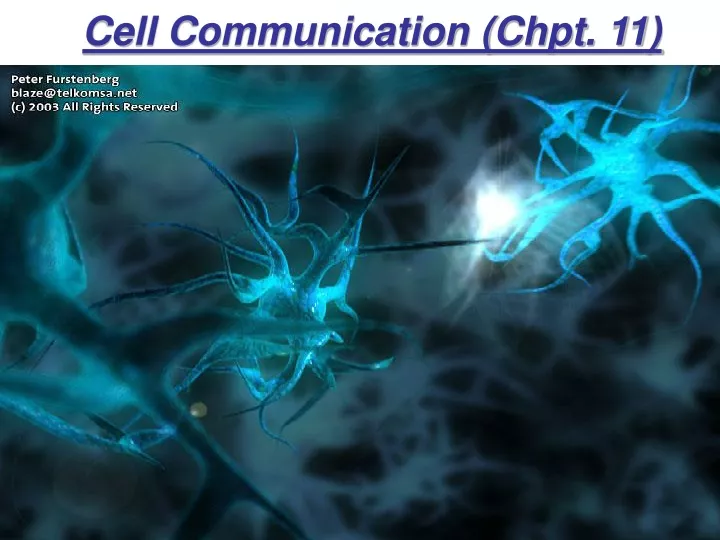 cell communication chpt 11