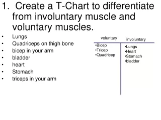 1.  Create a T-Chart to differentiate from involuntary muscle and voluntary muscles. Lungs
