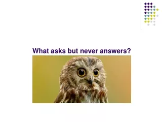 What asks but never answers?