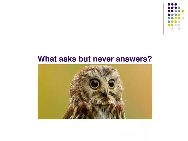 what asks but never answers