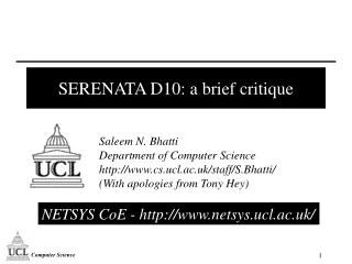 SERENATA D10: a brief critique