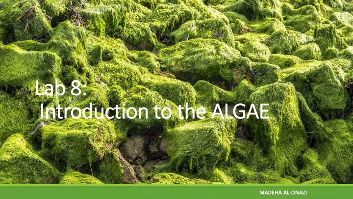 lab 8 introduction to the algae