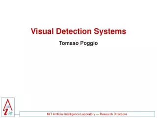 Visual Detection Systems