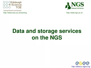 Data and storage services on the NGS