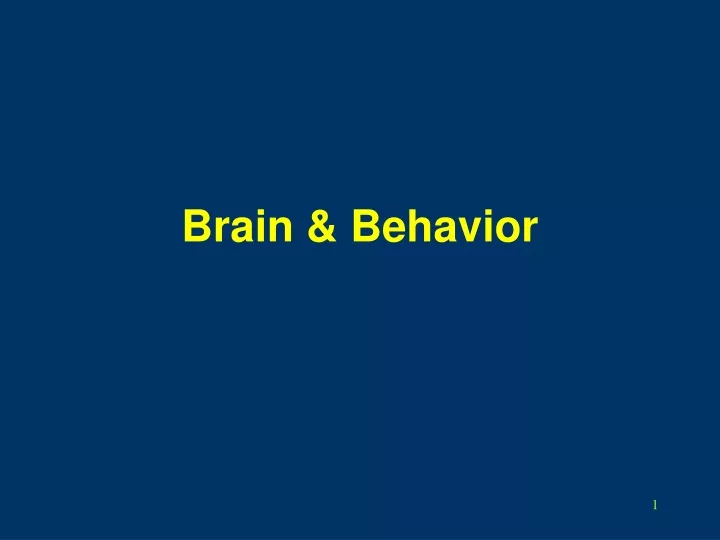 brain behavior