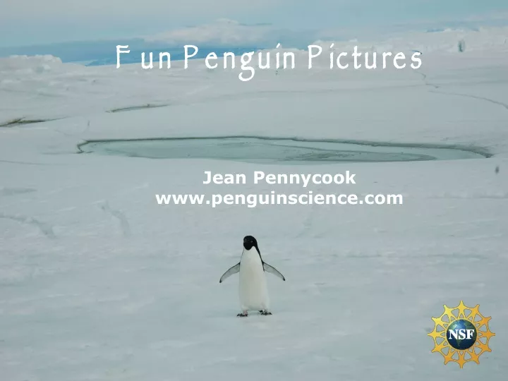 fun penguin pictures