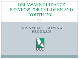 DELAWARE GUIDANCE SERVICES FOR CHILDREN AND YOUTH INC.