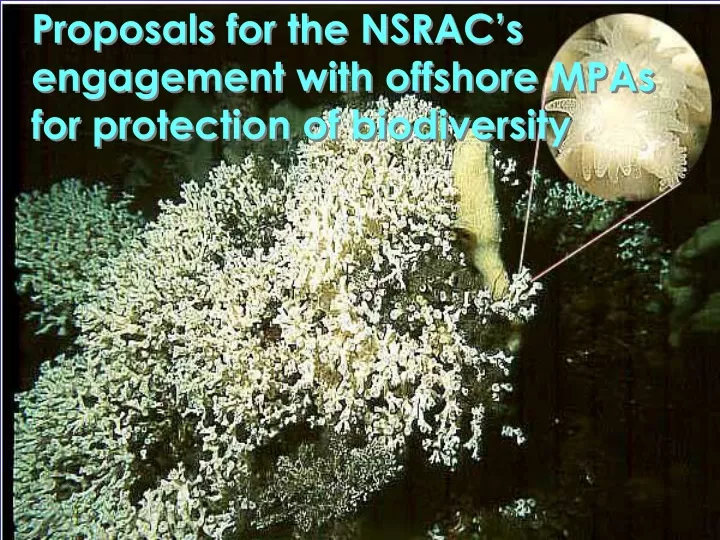 proposals for the nsrac s engagement with