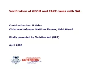 Verification of GEOM and FAKE cases with SAL Contribution from U Mainz