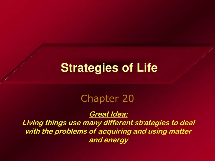 strategies of life