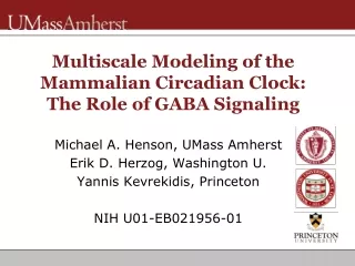 Multiscale Modeling of the Mammalian Circadian Clock: The Role of GABA Signaling
