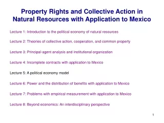 Property Rights and Collective Action in Natural Resources with Application to Mexico