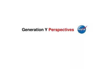 Generation Y  Perspectives
