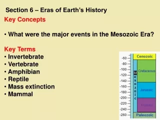 Key Concepts  What were the major events in the Mesozoic Era? Key Terms  Invertebrate  Vertebrate