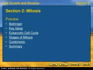 Section 2: Mitosis
