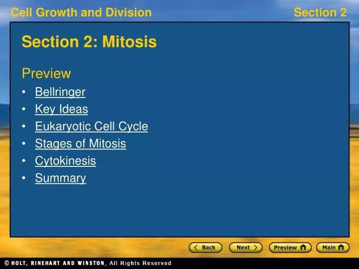 section 2 mitosis