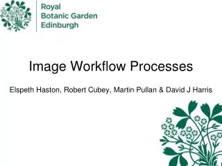 Image Workflow Processes