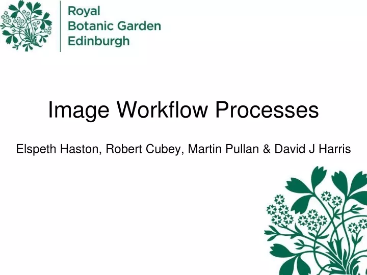 image workflow processes
