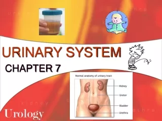 URINARY SYSTEM CHAPTER 7