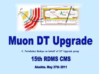 Muon DT Upgrade