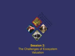 Session 2:  The Challenges of Ecosystem Valuation
