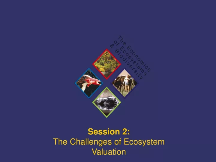 session 2 the challenges of ecosystem valuation