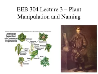 EEB 304 Lecture 3 – Plant Manipulation and Naming